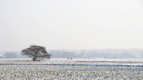 Eine winterliche Landschaft
