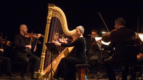 Solo-Harfe mit dem Sinfonieorchester Wuppertal, 11.02.2018