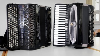 Ein Knopf- und ein Tastenakkordeon