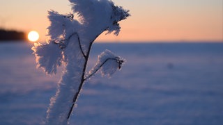Eine eisige Landschaft