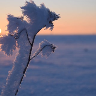 Eine eisige Landschaft