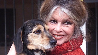 Brigitte Bardot mit Hund