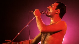 Freddie Mercury von Queen bei einem Livekonzert. Das Livealbum "Live Magic" aus dem Jahr 1986 ist ein ganz besonderes Livealbum, weil es unter anderem auch Material vom letzten Liveauftritt von Queen mit Freddie Mercury beinhaltet.