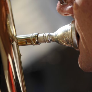Closeup eines Hornspielers