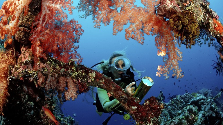 Taucher untersucht Schiffswrack Liberty, Bali