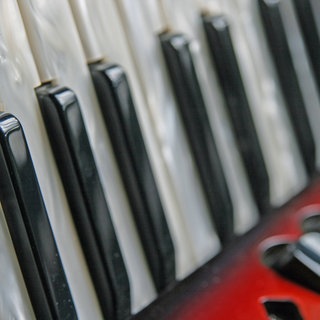 Detail eines Akkordeons