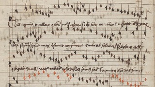 Auszug aus dem Krasiński Codex
