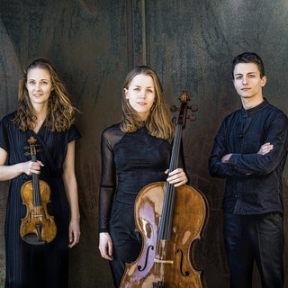 Amelio Trio