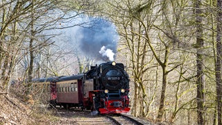 Alte Dampflok im Harz: Zur Redewendung "einen Zahn zulegen" hält sich hartnäckig eine falsche Deutung. Tatsächlich geht es um die Zeit der Industrialisierung und der Dampflokomotiven.