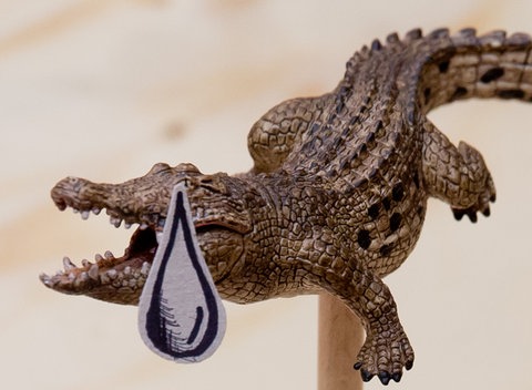 Krokodilstränen