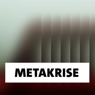 Wort der Woche: Metakrise