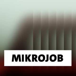 Wort der Woche: Mikrojob