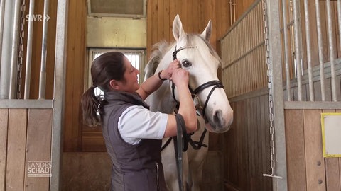 Frau mit einem Pferd im Stall