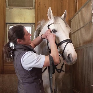 Frau mit einem Pferd im Stall