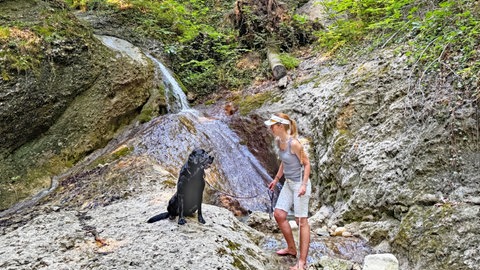 SWR1 Neuanfang: Heike und ihr Blindenführhund Zembo auf Wandertour an einem kleinen Wasserfall