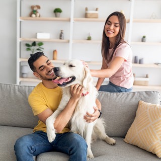 Ein Hund sollte nicht spontan angeschafft werden.