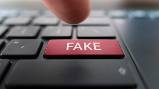 Fake News erkennen: Taste mit Aufschrift 'Fake'. Irreführende Meldungen generieren viel Aufmerksamkeit im Netz. So lassen sie sich entlarven.