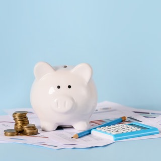 Sparschwein mit Geld und Unterlagen