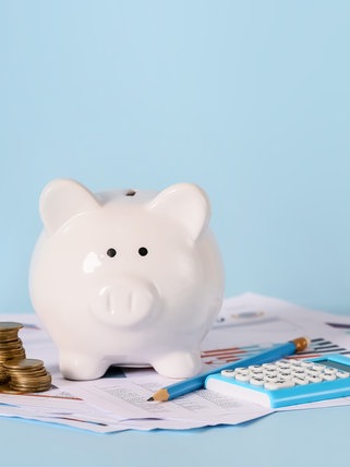 Sparschwein mit Geld und Unterlagen