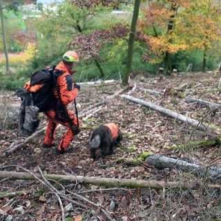 Berufsjäger geht mit Hund durch den Wald