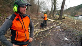 Baumpfleger in Schultzkleidung steht vor gefällten Pappeln