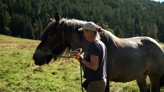 Auf dem Windberghof im Schwarzwald wird das Holz mit dem Pferd geholt. Eine Frau führt ein Pferd.