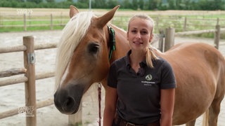 Land-Tierärztin und Pferd