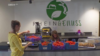 Tomaten im Hofladen