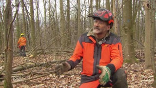 Ralph ist Kettensägenlehrer mit Gefühl