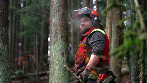 Mario Walz steht im Fränkisch-Schwäbischen Wald und trägt Holzfällerkleidung und einen Schutzhelm.