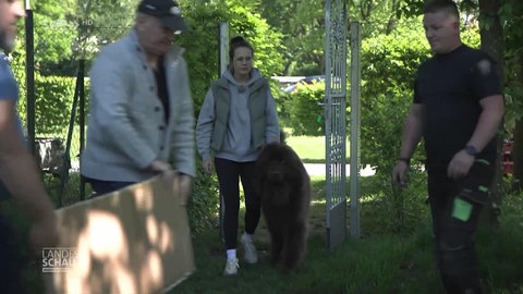 Frauchen mit Hund und Personen die mit anpacken