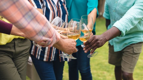 Eine Gruppe Menschen stoßt mit Gläsern an | Erfahrungsbericht: So überraschend kann ein Klassentreffen sein
