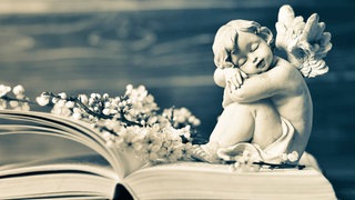 Aufgeschlagenes Buch mit blühendem Zweig und Engelsfigur