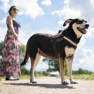 Frau mit Hund an der Leine