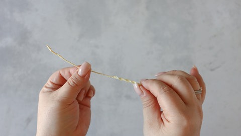 Jetzt den kleinen gelben Streifen (ca. 10 cm lang und 0,5 cm breit) ausformen und einrollen 