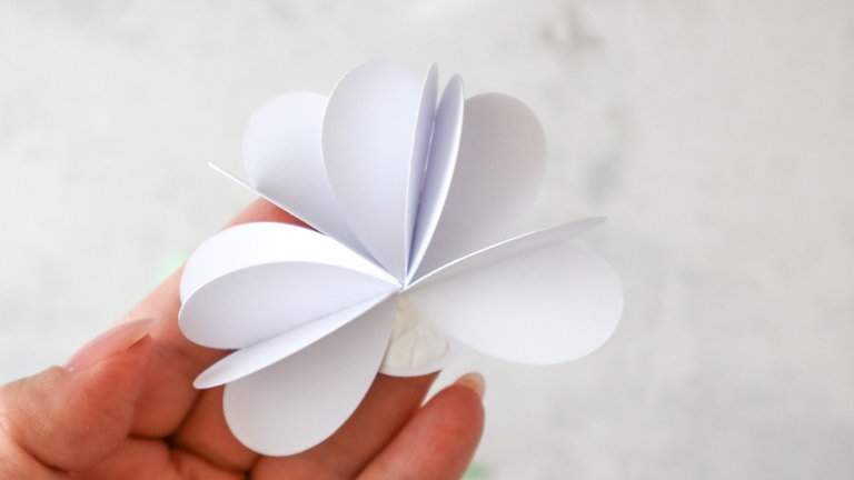 Blüten aus Papier