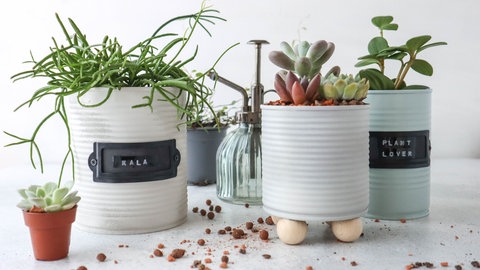 Blumentöpfe aus Blechdosen