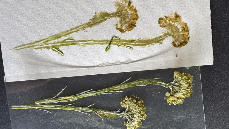 Den Druck ca. 5-10 Minuten trocknen lassen.