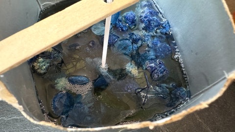 Kerze mit getrockneten Blüten