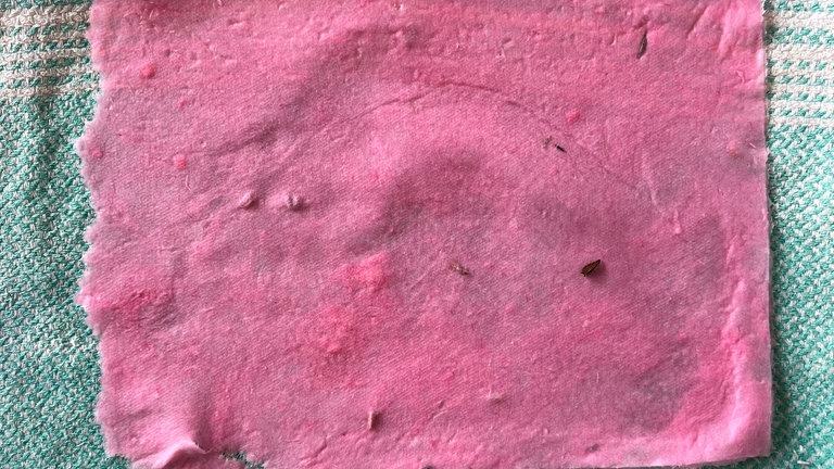 Nach 24 Stunden ist das Papier getrocknet und kann z.B. mit einem Stanzgerät Locher in Blumen-Konfetti verwandelt werden.  