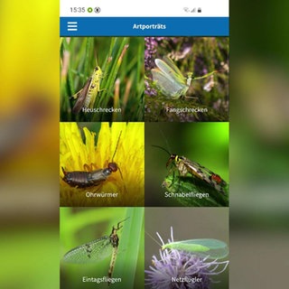 Ein Beispiel Screenshot aus der Erkennungs-App