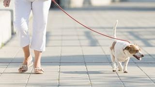 Eine Frau geht mit ihrem Hund spazieren