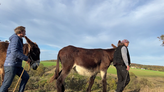 Markus Bundt bei einer Eselwanderung