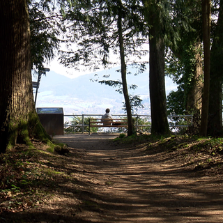 Freiburger Schlossberg