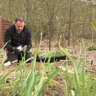 Hobbygärtner Miguel Salgueiro