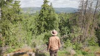 Mann im Nationalpark Hunsrück