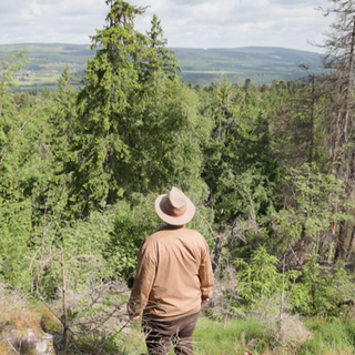 Mann im Nationalpark Hunsrück