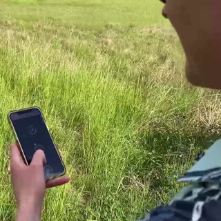 Frau hält Handy in der Hand