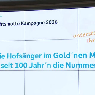 Das neue Fasnachtsmotto der Mainzer für 2026