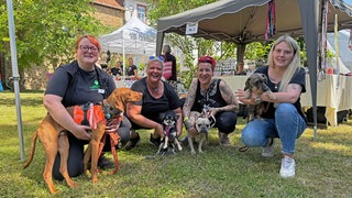 Fototermin beim ersten Hundefestival auf der Burg Layen
